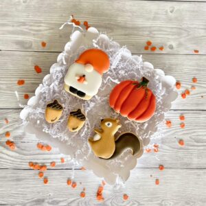 Gnomo-scoiattolo-zucca