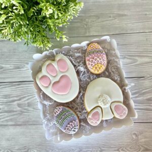 Box - Coniglio cerca carote